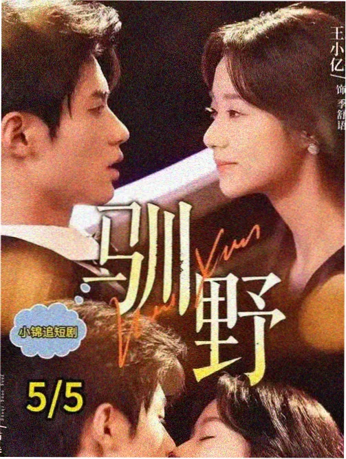 单元结构型剧集样本场景示意图